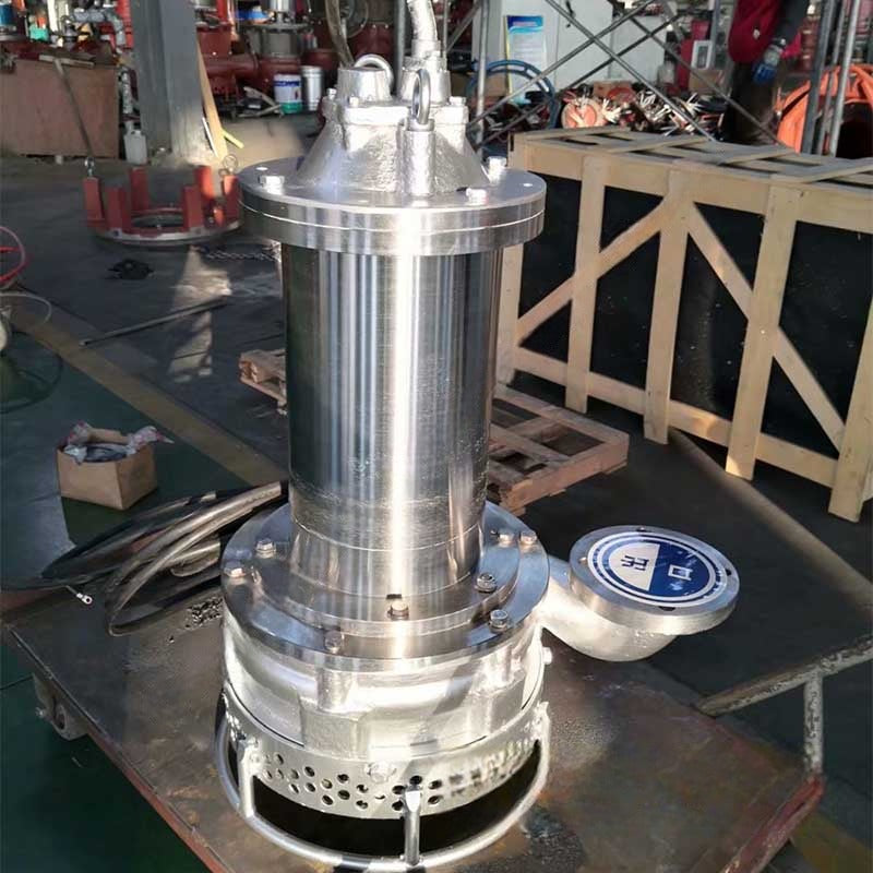 Bomba sumergible de lodos 65TJQ - 4