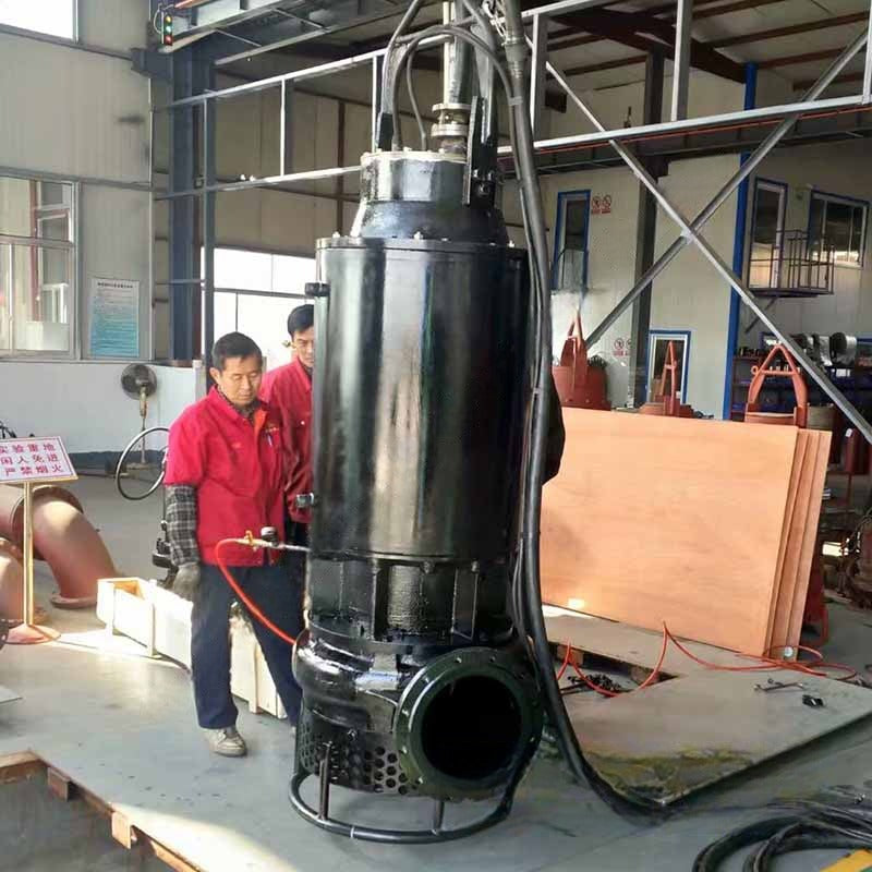 Bomba sumergible de lodos 350TJQ - 3